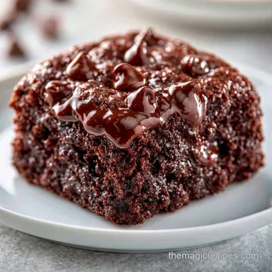 Zucchini Chocolate Chip Cake in 1 Hour Recipe Card